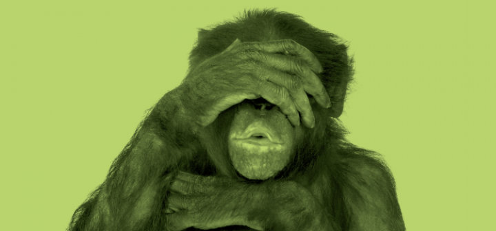 World Mental Health Day… What’s Next? World Mental Health Day… What’s Next?